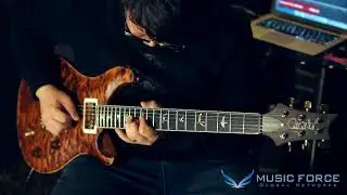 PRS Wood Library McCarty Trem Limited Demo