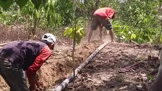 PAMSIMAS III DESA ROWOSARI TA.2019 Pemasangan pipa