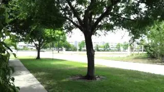 Samsung Droid Charge Sample Video