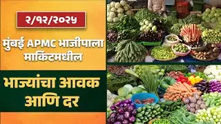 मुंबई APMC भाजीपाला मार्केट मधील सर्वभाज्यांची आवक आणि दर 2/12/2025-Apmc News