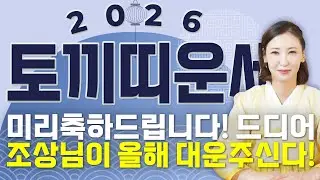 ✨2026년 병오년 토끼띠띠운세✨역대급 대운과 함께 귀인이 찾아온다!! 금전,재물,문서운까지 다 들어와 초대박나는 63년생 75년생 87년생 99년생 토끼띠의 운명과 신년운세!