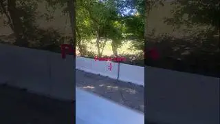 Mi Paseo por Punta Lara.   😉  #viralvideo #viralshort #viralshorts #vacaciones #vacation #puntalara