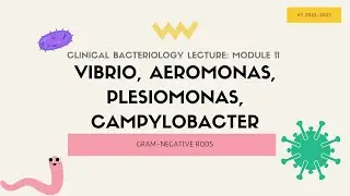 M11: Laboratory Identification of Vibrio, Campylobacter, Helicobacter, Aeromonas and Plesiomonas