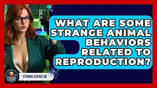 What Are Some Strange Animal Behaviors Related to Reproduction? - Strange Science HQ