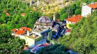 YEŞİL SÜTÇÜLER - TANITIM
