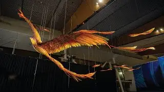 Manu Muramura - Wellington Airport's new terminal centrepiece created by Wētā Workshop