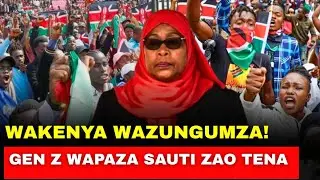 Wakenya Wazua Moto Baada Ya Samia Kuapishwa – Kauli Zao Zawaumiza Watanzania!