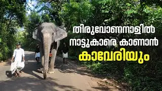 തിരുവോണനാളിൽ  നാട്ടുകാരെ കാണാൻ കാവേരിയും🥰🥰 I Kaveri Malappuram #kaverielephant #onam