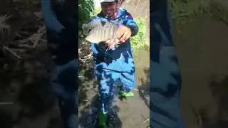 using hand to catch big fish