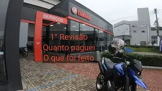 Primeira revisão Lander 2025, quanto paguei, o que foi feito.