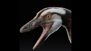 Compsognathus: A Small Bird-like Theropod from Late Jurassic Europe