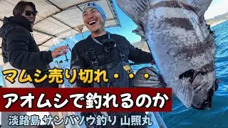 【今サンバがアツい？！】アオムシでサンバソウを狙ってみた!!!