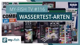Teststreifen Vs. Tr&ouml;pchentest Vs. Photometer - wann brauchst du was? | my-fish TV #116