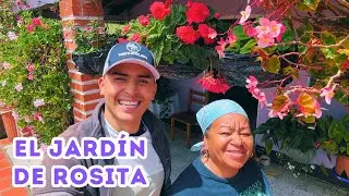Puré para PLANTAS la receta del jardín de ROSITA es un PARAÍSO |AP
