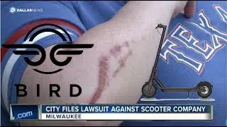 Bird Electric Scooters BIGGEST FAILS (Crashes, Accidents, Citations and more!) | Compilation Nation