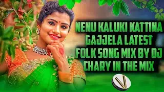 NENU KALUKI KATTINA GAJJELA LATEST FOLK SONG MIX BY DJ CHARY IN THE MIX 2022