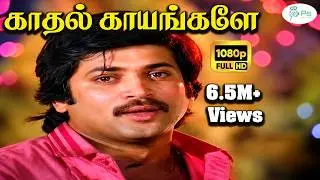 Kadhal Kayangale Neengal  || காதல் காயங்களே || K J Yesudas,Malaysia Vasudevan || Love Sad Song