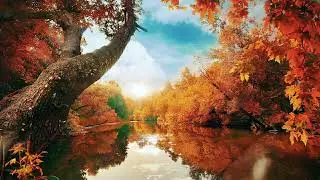 Beautiful Relaxing Music for Stress Relief - Selva De Irati - Spain