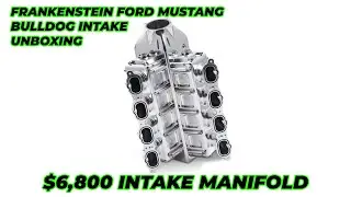We Unbox Frankenstein's $6800 Bulldog Ford Mustang GT Intake Manifold