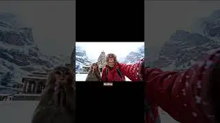 monkey pahucha Kedarnath mandir #aimonkey #trendingaimonkey #viralmonkey #kedarnath