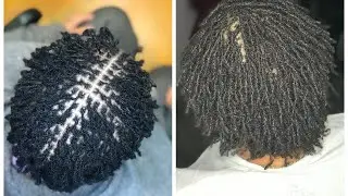 One year Sisterlocs on 4C hair