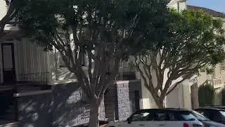 San Francisco, Russian Hill area. 