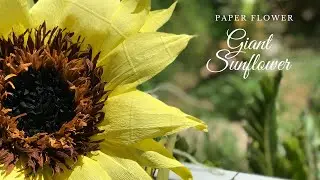 Cách Làm Nhụy Hoa Hướng Dương Khổng Lồ  Bằng Giấy Nhún/ May & Art