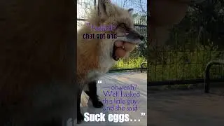 ✨ &ldquo;Suck eggs @GPTMainBot &ldquo;✨ -Clevyr Foxes