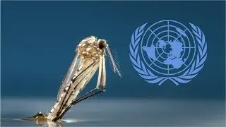 Army Ants and Biodiversity - UN mission in Thailand's untamed jungle! (overwhelming ant-experience)