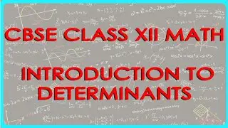 Marix and determinant introduction zero to hero 👍