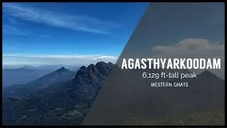 AGASTHYARKOODAM | DAY 1 | 6,129 Ft TALL PEAK | WESTERN GHATS | 14 Km TREK.