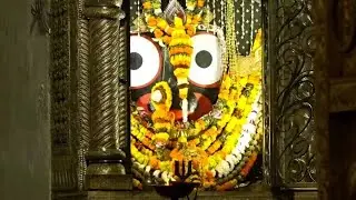 Sarala Maa Jhia vlog  is live