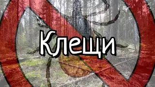 Клещи. Как не стать их добычей?