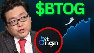 BTOG Stock THURSDAY UPDATE!! (The Exact Answer Here) Bit Origin best broker review