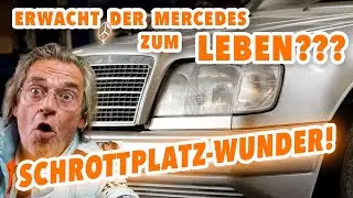 Bei Fred aufm Schrottplatz (Die VERRÜCKTESTEN Kunden) I Freds Revier Folge 68