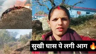 बारिश न 🌧️होने पे लगी सुखी घास पे आग🔥 ll ये क्या हो गया😱 ll shakuntla daily vlogs ll 🌺