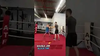Boxing Training | Punch Mitts