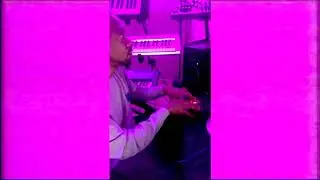 DJ.Fresh - Beat Making - Sample based - MPD - JUNO 106