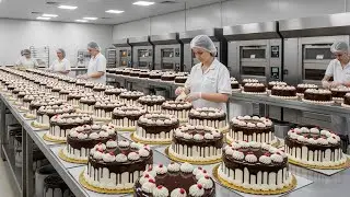 How Millions of Cakes Are Made in a Factory | Fully Automatic Cake Production