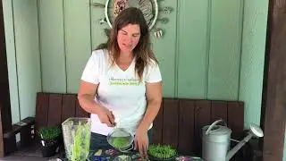 How To Juice Homegrown Wheatgrass