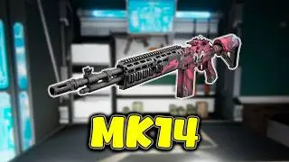 NUEVA arma y NUEVA build