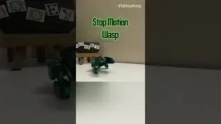 Transformers Stop Motion Wasp