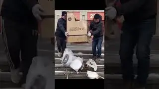 Irresponsible Cargo Carrying: Watch the video illustrating the consequences of carrying a load
