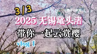 2025Wuxi Yuantouzhu cherry blossoms | episode1无锡鼋头渚赏樱攻略 | 带你一起云赏樱(一)