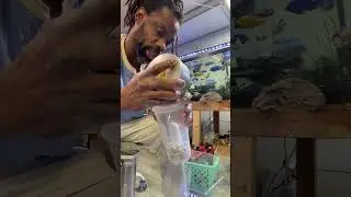 Make a sponge filter from a water container 