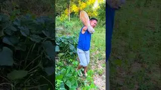 If You Want to Succeed, Work Hard | Inspiring Disabled Boy Working in Field | Motivation Shorts