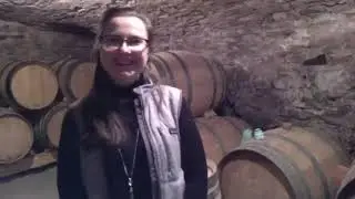 Pair of Shaps' Autumn Cheese and Wine Pairing (pt. 5)