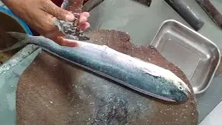 #youtubeshorts​ #fisher​ #fishingvideo​#viral​ #fishing​ #fishinglife​ #shortvideo​#fish​ #kerala