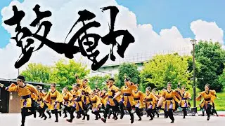 神戸学生よさこいチーム湊 「鼓動」 / 第23回にっぽんど真ん中祭り（テレどまつり2021）