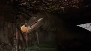 BIG BLACK ASIAN DINOSAURS!!!👀👀😱😱🤯👀